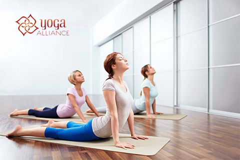 全美瑜伽聯盟微信公眾號網絡課堂開發